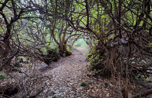 Ryan's Cottage - Photo 42