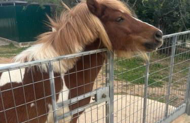 La Quinta da Liberdade - Ferme de charme en Algarve - Foto 46