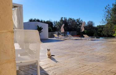 Trullo il Gelso with Private Salt Water Infinity Pool and Jacuzzi inside - Foto 68