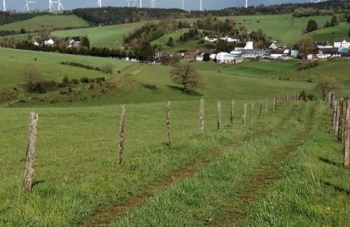Ferienhaus ROSENHOF Vulkaneifel - Foto 35