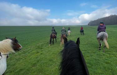 Hof zur Nette -Stilvoller Rückzugsort im Herzen des Maifelds - Foto 9