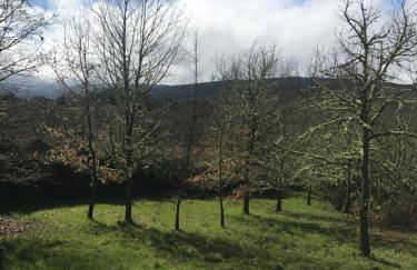 Casa de Labranza Naz - Foto 29