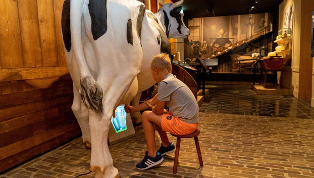 As crianças aprenderão como o queijo é feito