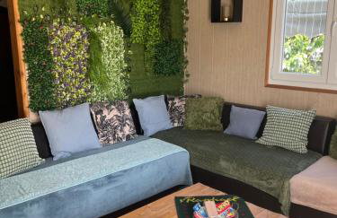 Villa 1950 piscine et spa- Gérardmer - terrain entièrement clos pour animaux - Foto 3