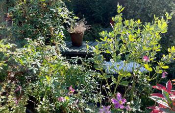 Moat Cottage, Newby Hall, Ripon, North Yorkshire - Foto 11