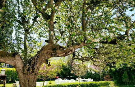 Errotazar apartamento M - Foto 21