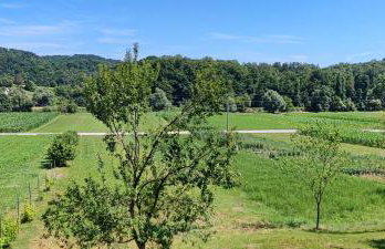 Pri Fiškušu - Foto 12