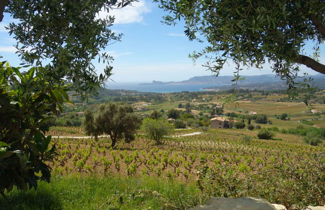 Les Vignes - Foto 21