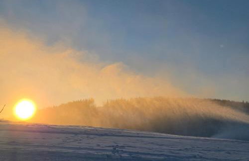 Ferienwohnung Activities & Relax mit privater Sauna - Foto 42