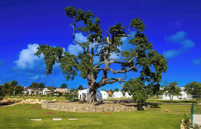 Santa Fe Club - Photo 49