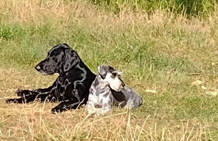 Domek Letniskowy ZŁOTY KARAŚ - Foto 36