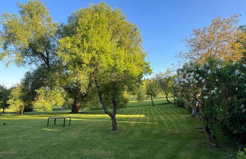 Ruhige Gartenwohnung - Foto 8