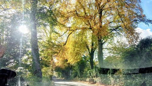 Chandler Ranch Llandovery Cynghordy - Foto 3