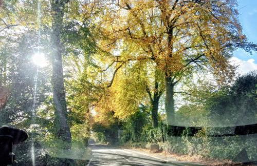 Cosy Rural Gilbert Hights Llandovery Cynghordy - Foto 6