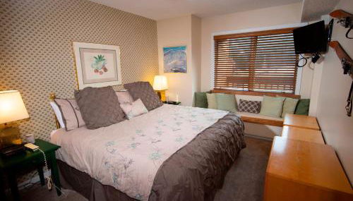 Mountain Lodge At Okemo-1br Fireplace & Updated Kitchen 1 Bedroom Condo by RedAwning - Foto 5