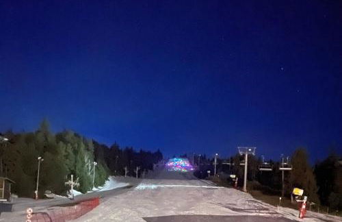 L'Aire des montagnes - Foto 49