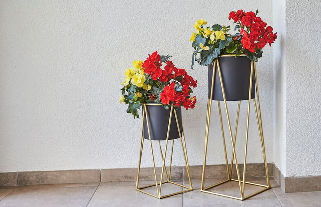 Landhaus Keil - Foto 50