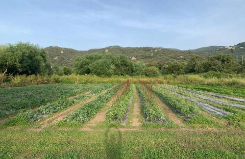 Maison typique de campagne au cœur de la nature . - Foto 16