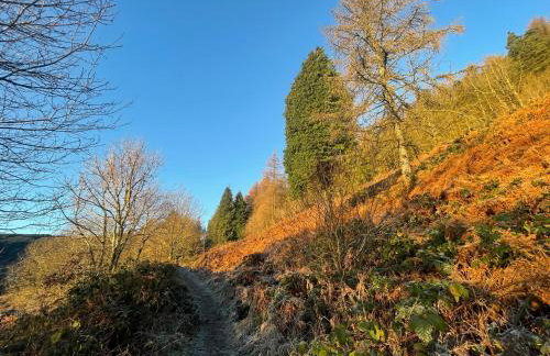 Large Historic Farmhouse in Rhondda Valley Perfect for Groups with Hot Tub - Foto 45