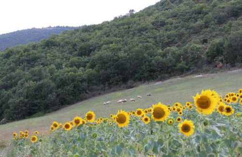 Agriturismo Roccagelli - Photo 59