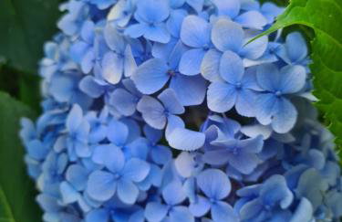 Happy Sparrow - Foto 78