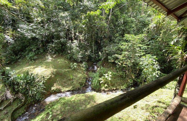 Esquipulas Rainforest - Foto 34