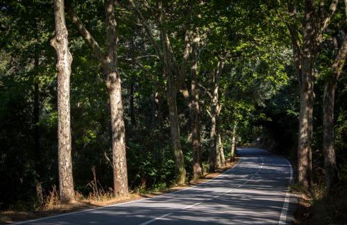 Casas do Pátio Country Houses & Nature - Foto 34