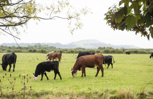 The Cowshed - Foto 26