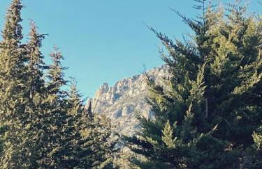 Maison de campagne dans un domaine viticole - Photo 9