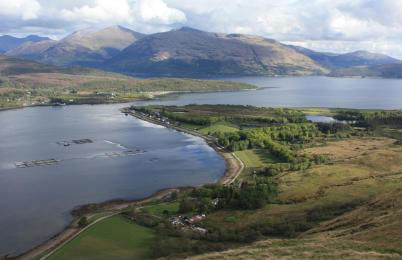 The Apartment - Photo 29