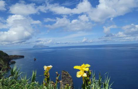 Casa Bela Vista - Foto 33