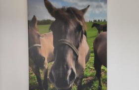 Apartamenty Klangor - Foto 25