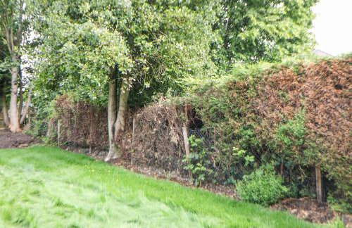 37 Berry Hill Lane - Foto 31