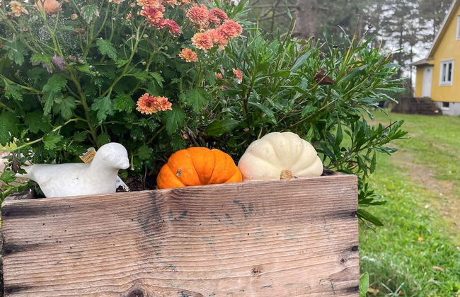 4 Person Holiday Home in Farjestaden - Foto 20