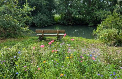 Wiesentblick - Foto 17