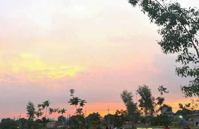 Pandora's Nest - Foto 54