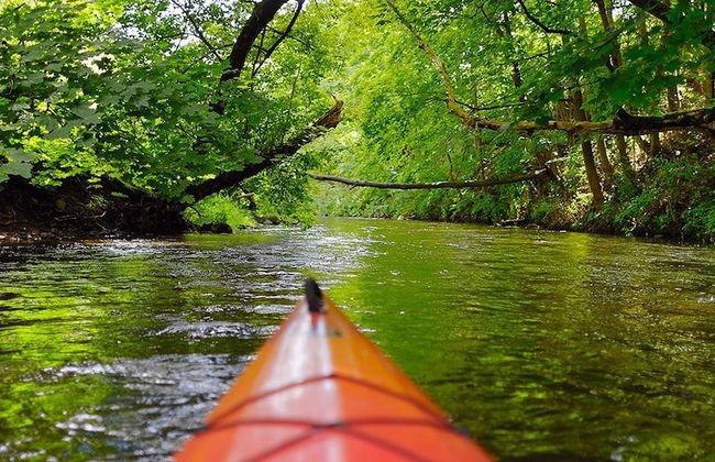 Papa Bear Path - Foto 32