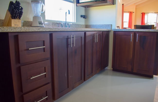 Drax Hall Manor Country Club Villa - Foto 25