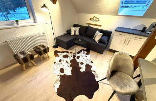 Natur-Apartment am Großen Arber Netflix WIFI - Foto 41