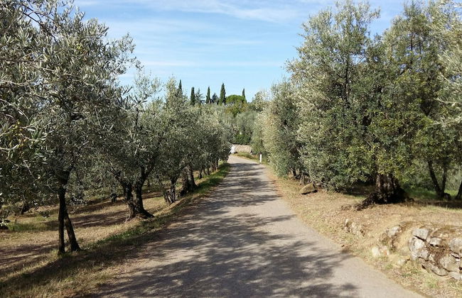 Agriturismo Il Colle - Foto 31