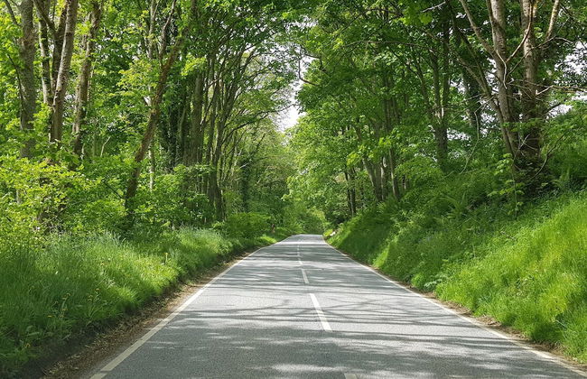 Pleasant Point Holiday Cottages - Foto 15