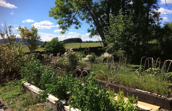 Netherton Farm Lodge - Foto 53