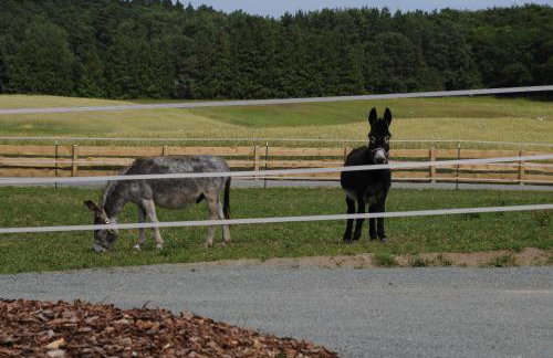 Bungalow Ückeritz - Foto 26