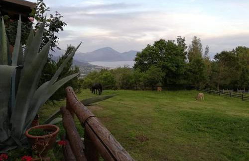 Il Rifugio del Contadino Country House - Photo 46