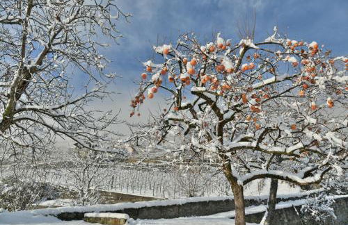 La Rosa al Roseto del Drago - Foto 18