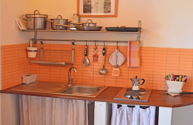 Agricontura - Foto 24