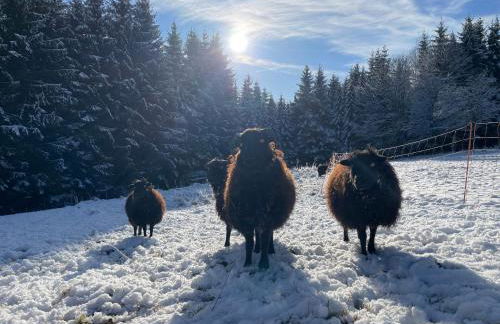 Fuchs & Has` - Foto 6