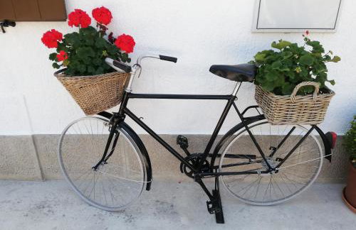 Apartman Pisino**** 70m2, 2+2 - Foto 41