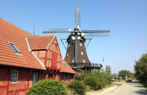 FeWo am Dorfteich - Foto 16