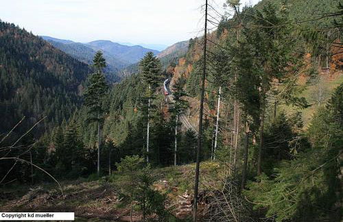 Haus am Waldrand - Foto 21